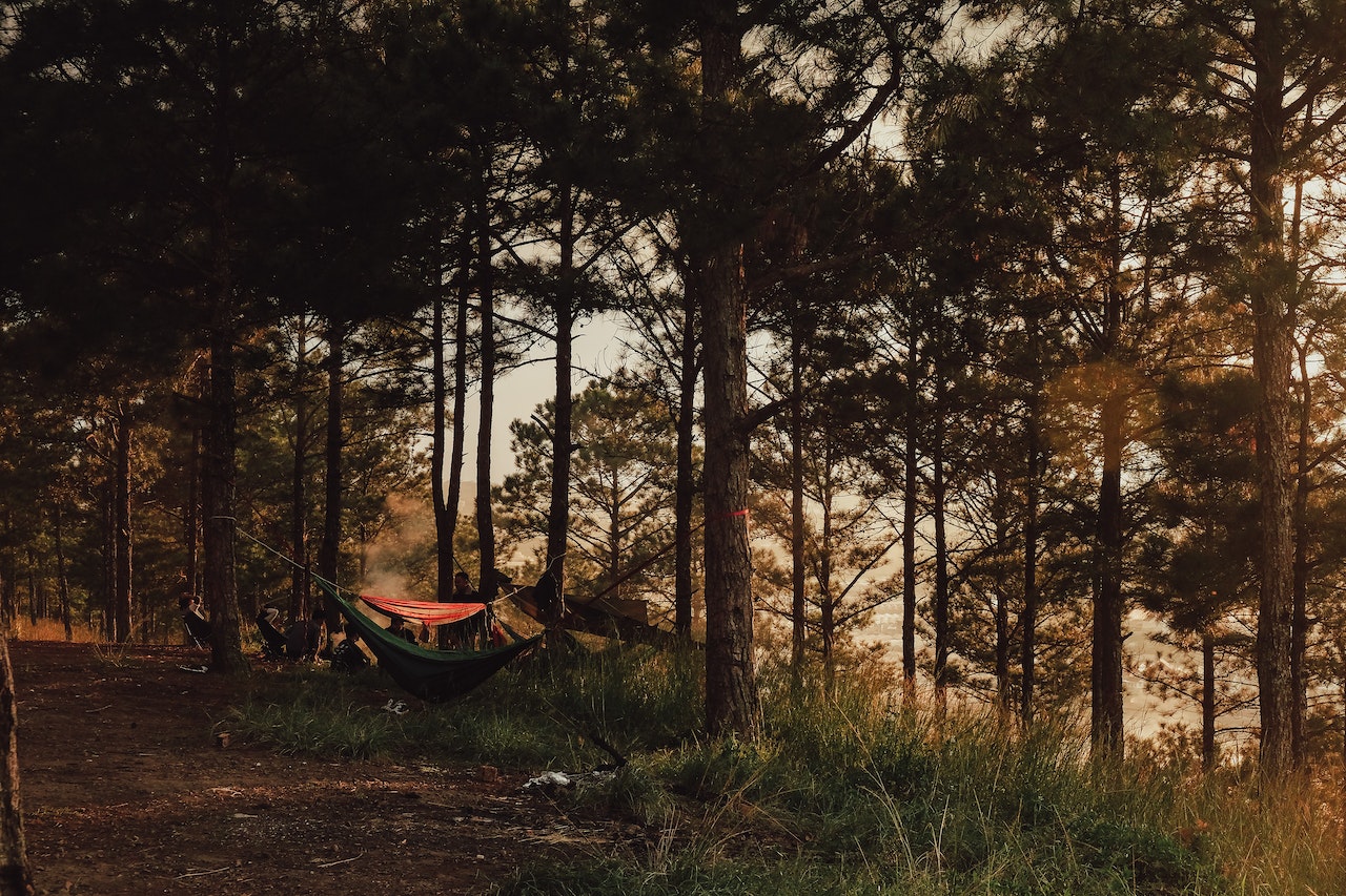 A Beginner’s Guide to Hammock Camping